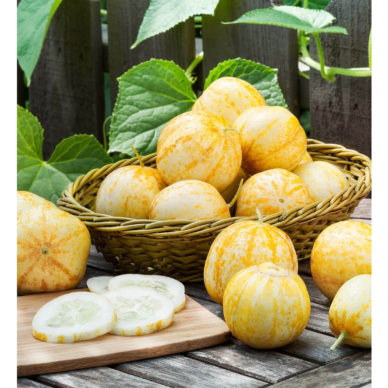 50pcs Lemon Cucumber Seed, HEIRLOOM - NON GMO, Fresh Seeds for Your Garden,