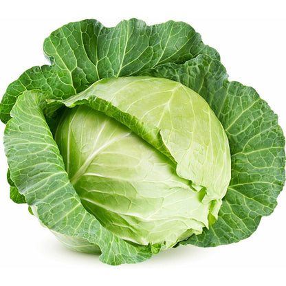 200pcs Cabbage Seeds for Planting Heirloom, Non-GMO easy care