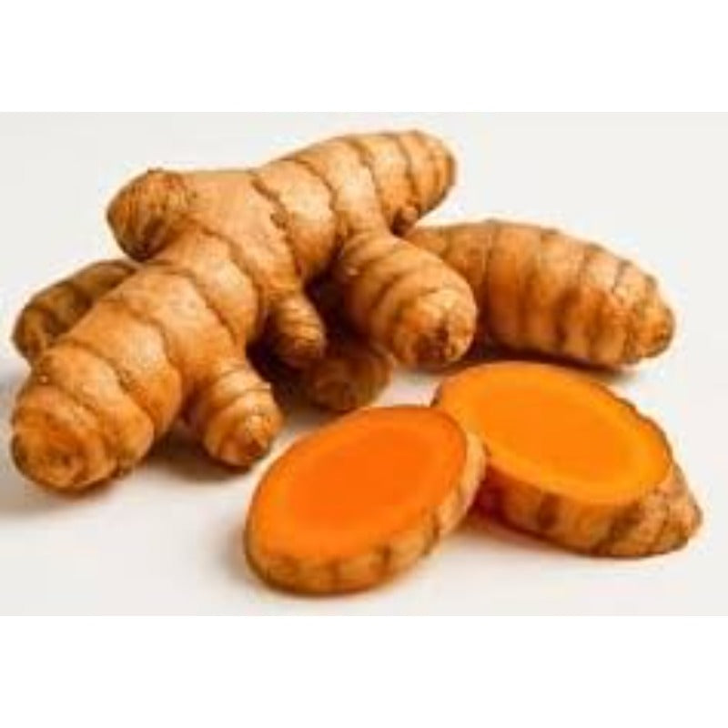 100pcs Suitable for beginner planting Ginger Seeds flourish in ordinary rich well-drained soil suited for tropical garden foliage cultivation