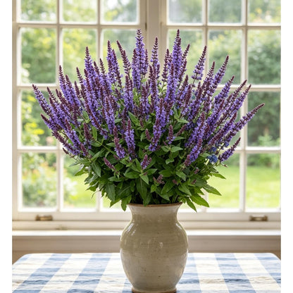 200pcs Blue Sage Seeds Heirloom Full Sun Cut Flower for Pollinator Garden, Border & Patio Containers
