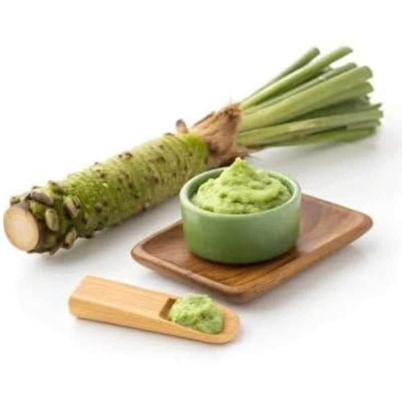 Wasabi Mustard Green Seeds 200 Count Seed Pack - Non-GMO - Large Green Leaves with Wavy Edges and a Fun Wasabi-Like