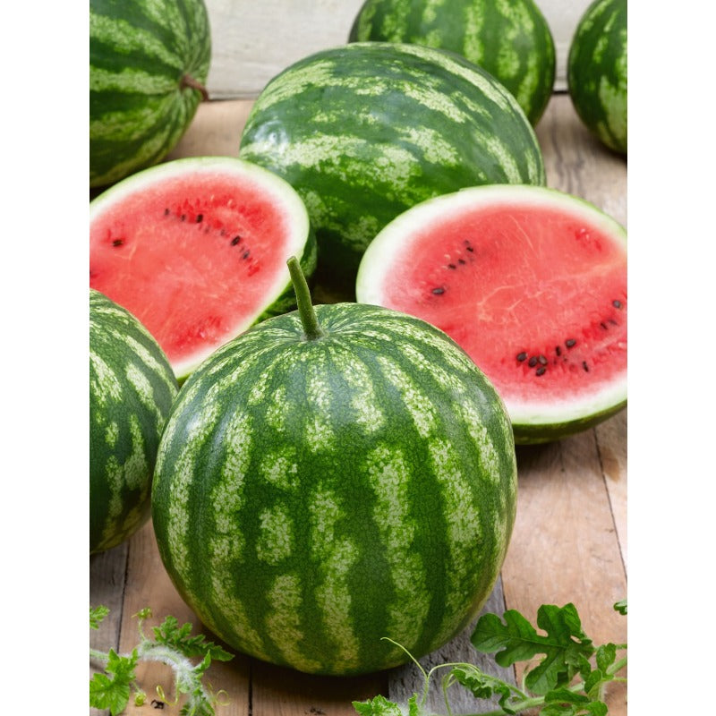50Pcs Beginner-Friendly High Yield Seeds with Watermelon Seeds for Home Gardens