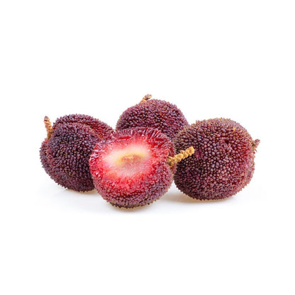 10Pcs Bayberry Seeds pair well with low landscape plantings to enrich multi-layered courtyard landscape structure
