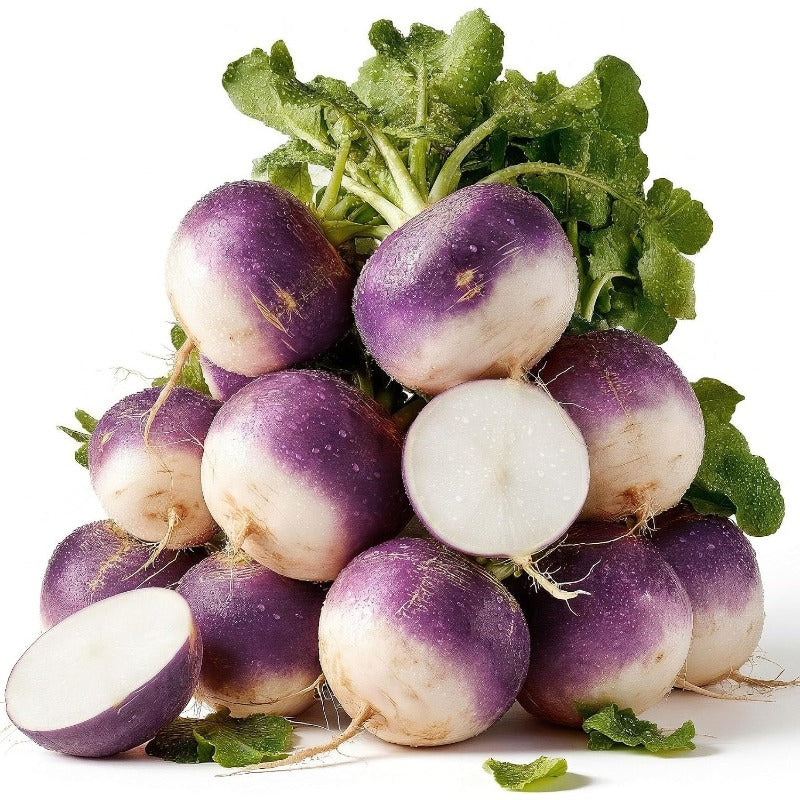 200 Purple Top White Globe Turnip Seeds for Planting - Heirloom, Non-GMO, easy care