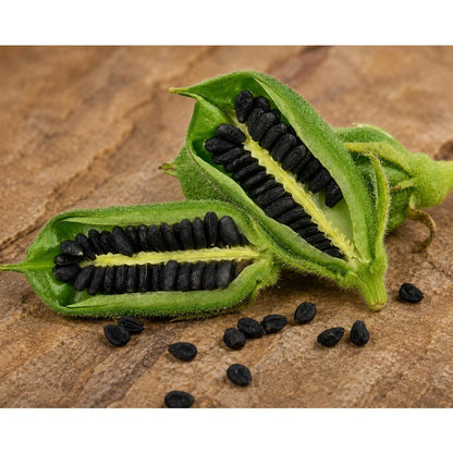 500pcs Ornamental And Practical Black Sesame Seeds For Multi Use Garden Planting