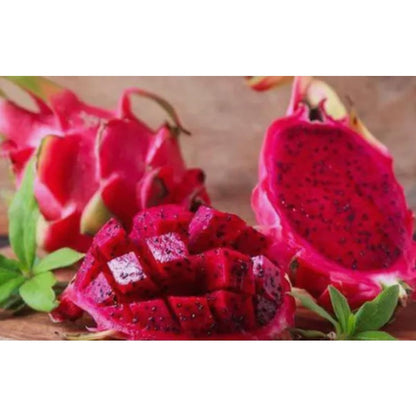 84Pcs Easy to Sow Dragon Fruit Seeds ideal for forming continuous ornamental lines along yard trellises and fence borders