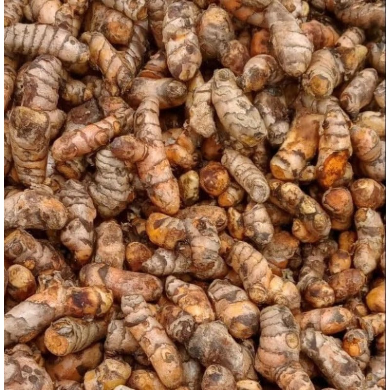 100pcs  Ginger Seeds Effortless Cultivation fit small and medium courtyard and garden landscape layout demands