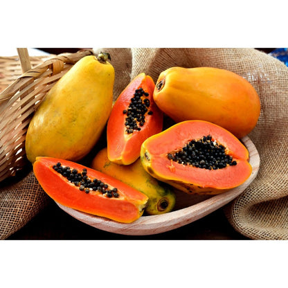 30Pcs Ornamental Papaya Seeds Low Care Perennial Fleshy Seeds with Papaya Seeds for Indoor Pots