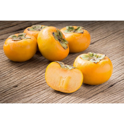 50Pcs Persimmon Seeds Easy to Establish great for novice yard scenic design and natural boundary landscaping layout