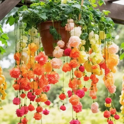 288Pcs Rainbow Weeping Begonia Seeds Hanging Basket Flowers Colorful Shade Begonias