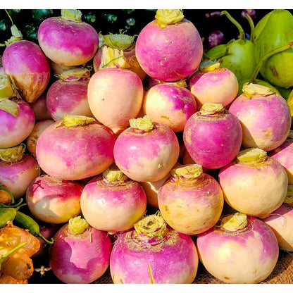 200 Turnip Seeds for Planting –  Non GMO Heirloom Purple Top Turnip Seeds – Full Planting Instructions to Plant Home Outdoor Vegetable Garden – Great Gardening Gift