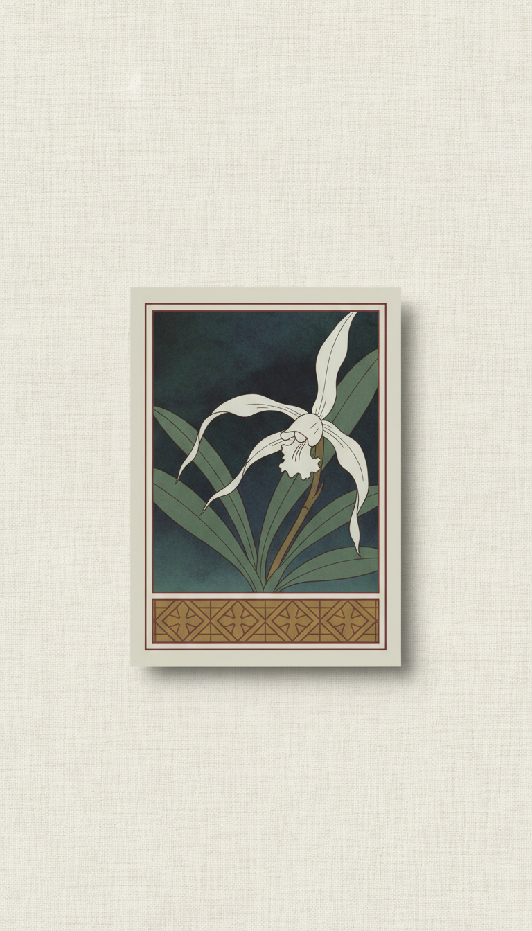 Ghost orchid elusive seed packet