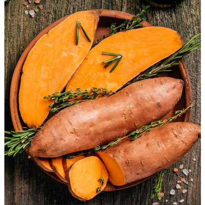 93Pcs Easy to Sow Sweet Potato Seeds ideal for forming continuous vine coverage along garden borders and open ground edges