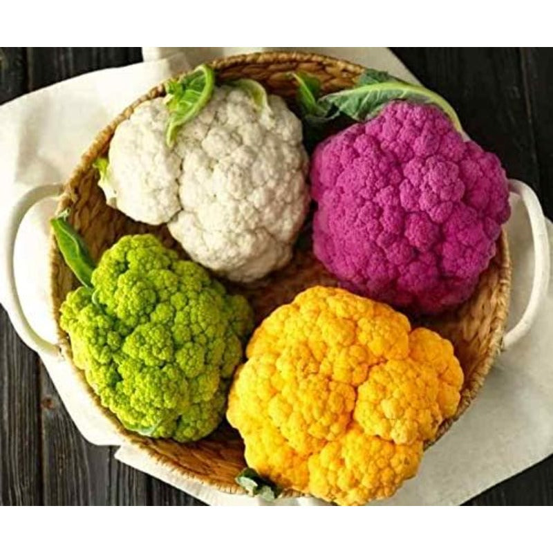 200pcs Cauliflower seeds Cabbage Mix Non GMO Vegetable for Planting
