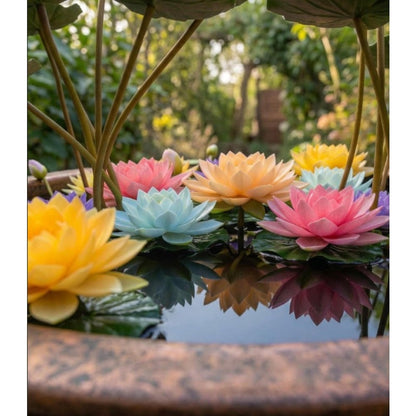 12pcs With Lotus Seeds, Quick Growing Floating Leaf Plants for Patio Ponds