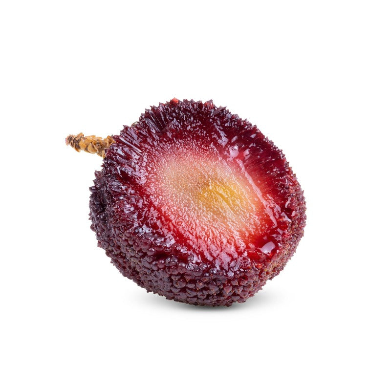 10Pcs Bayberry Seeds pair well with low landscape plantings to enrich multi-layered courtyard landscape structure