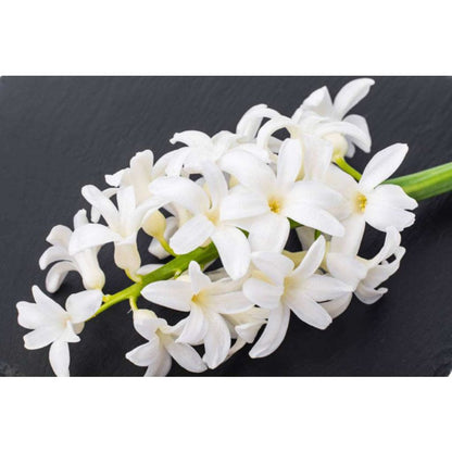 200Pcs Hyacinth Seeds match naturally with classic garden and modern minimalist decor design styles