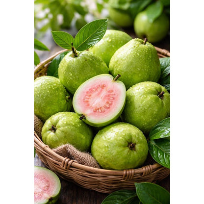 99Pcs Pink Guava Seeds Red Guava Fruit Garden Seeds