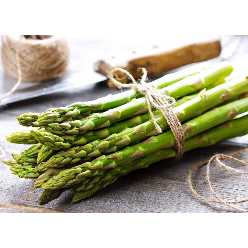 100pcs Straightforward Growing Asparagus Seeds ideal for lining garden bed rows, border edges and leisure open grounds