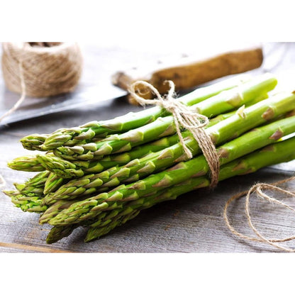 100pcs Straightforward Growing Asparagus Seeds ideal for lining garden bed rows, border edges and leisure open grounds