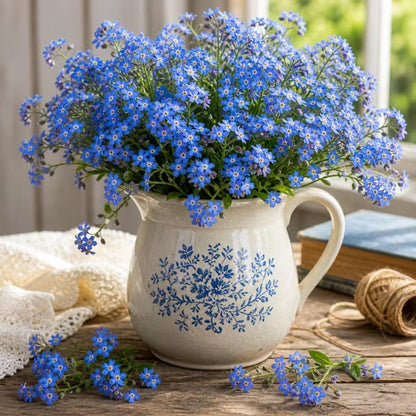 500pcs Forget Me Not Seeds Simple to Grow add soft delicate charm to plain shaded yard and garden landscapes