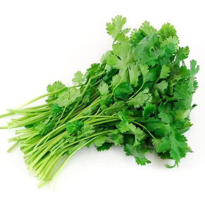 200Pcs Cilantro Seeds Easy To Grow Suitable For Creating A Fresh Inviting Outdoor Atmosphere