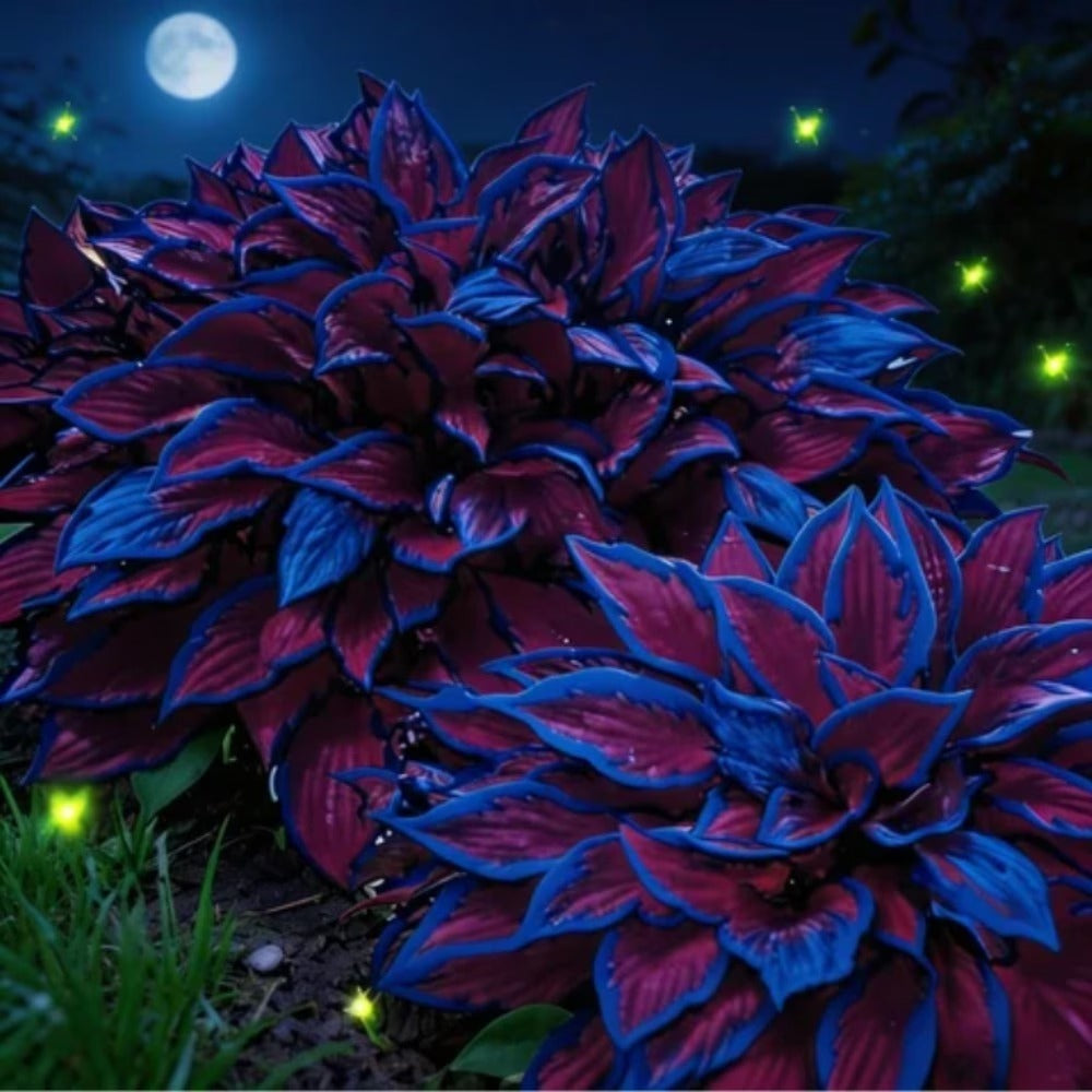 100pcs Hosta Seeds Mix for Planting, Mixed Colors,Dual Use for Ground Cover & Pots, Create Cool Shaded Garden Outdoor