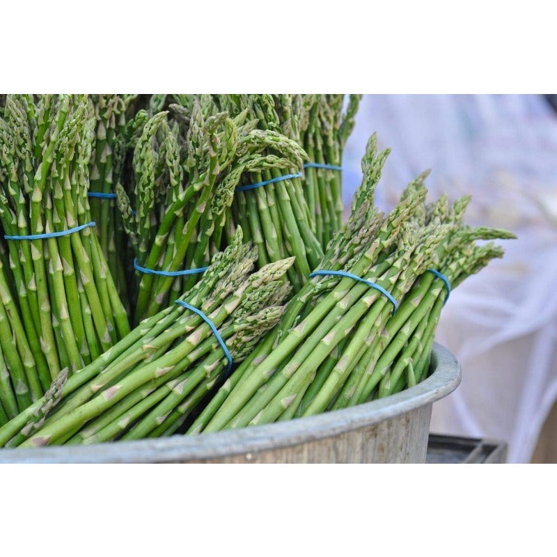 100pcs Straightforward Growing Asparagus Seeds ideal for lining garden bed rows, border edges and leisure open grounds