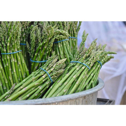 100pcs Straightforward Growing Asparagus Seeds ideal for lining garden bed rows, border edges and leisure open grounds