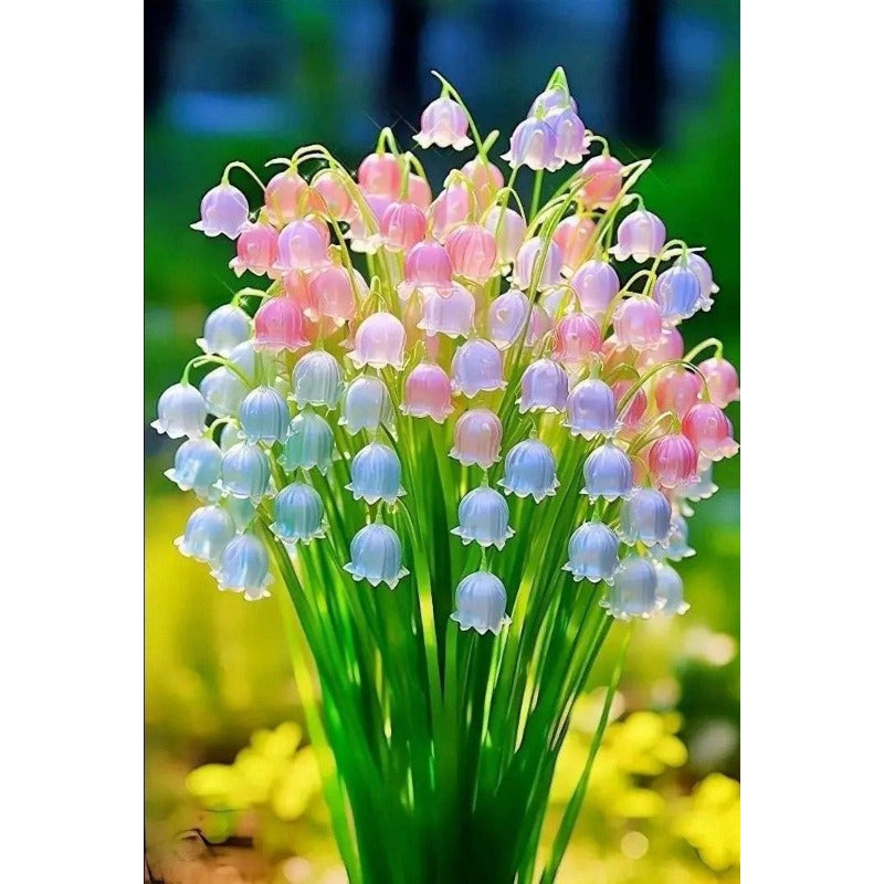 147Pcs Lily of The Valley Seeds grow steadily with moderate watering and soft natural light exposure