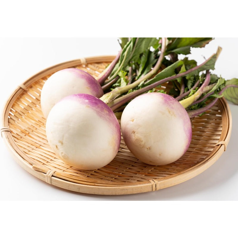 200 Turnip Seeds for Planting –  Non GMO Heirloom Purple Top Turnip Seeds – Full Planting Instructions to Plant Home Outdoor Vegetable Garden – Great Gardening Gift