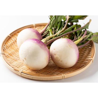 200 Turnip Seeds for Planting –  Non GMO Heirloom Purple Top Turnip Seeds – Full Planting Instructions to Plant Home Outdoor Vegetable Garden – Great Gardening Gift