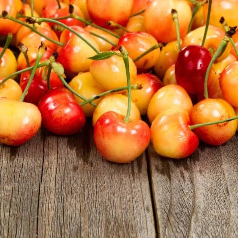 30pcs Low Water Requirements Cherry Tree  seeds For Gardeners planting