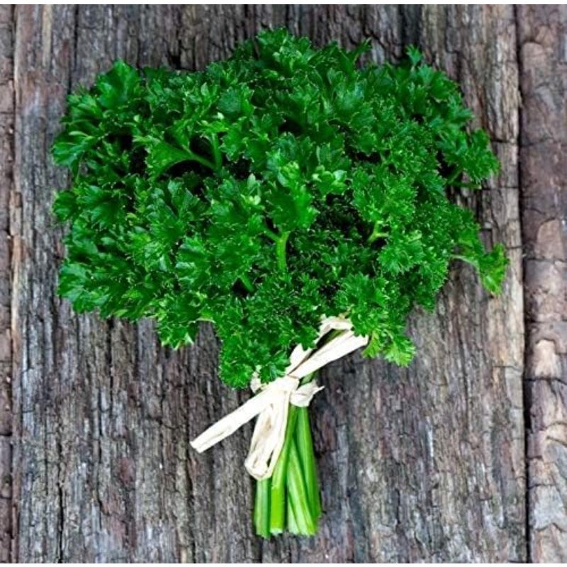 Seeds Herb Curly-Leaf Parsley Paramount Green - 500 Seeds