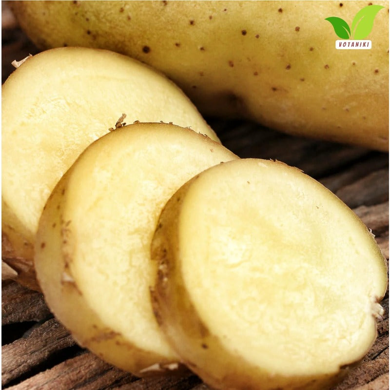 200pcs Potato Seeds Friendly for new gardeners grow into full bushy foliage clusters with steady seasonal development
