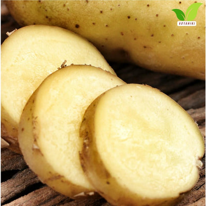 200pcs Potato Seeds Friendly for new gardeners grow into full bushy foliage clusters with steady seasonal development