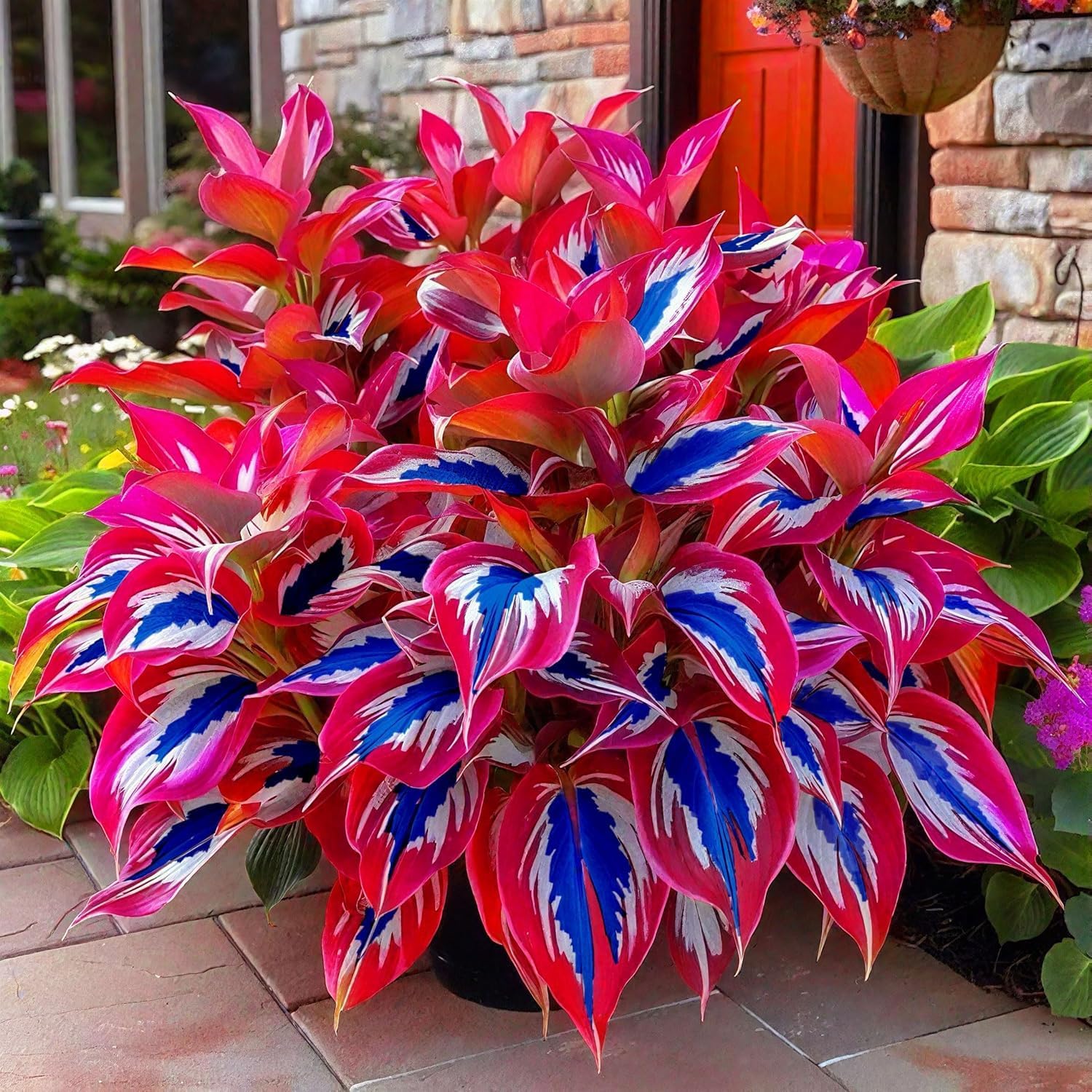 100 Rare Mixed Color Hosta Flower Seed for Planting Outdoors Garden