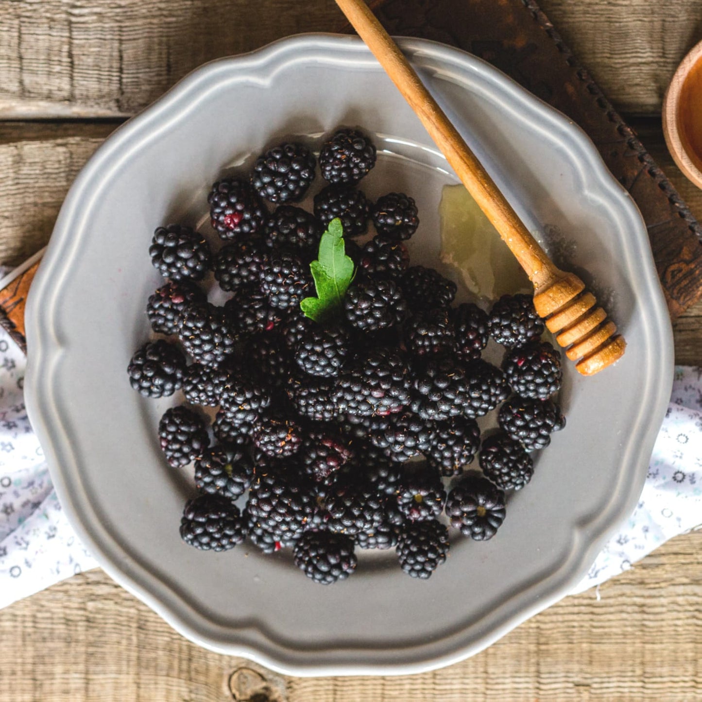 200Pcs Blackberry Seeds Structured Form For Neat Landscapes Simple To Cultivate