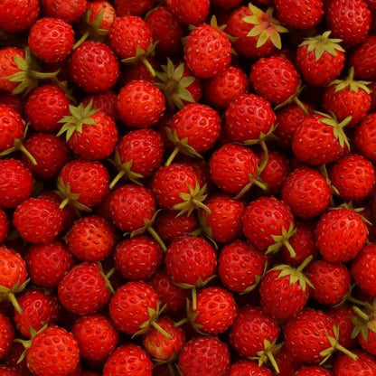 298Pcs Beginner Preferred Wild Strawberry Seeds for planting in quiet courtyards, shaded beds and terrace edge spaces
