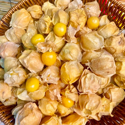450Pcs Groundcherry Seeds Fit for home planting hold stable seasonal growth cycles for lasting garden layout and ornamental value