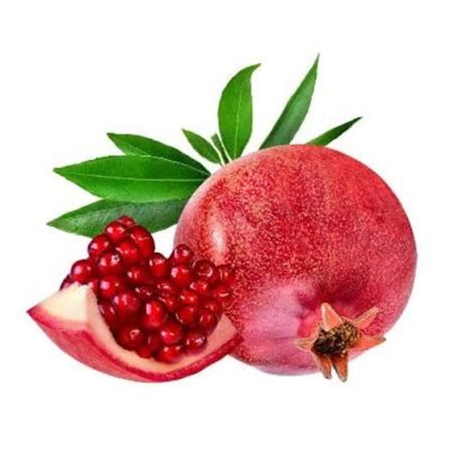140Pcs Novice Friendly Pomegranate Seeds for planting along garden margins, yard corners and quiet leisure landscape spots