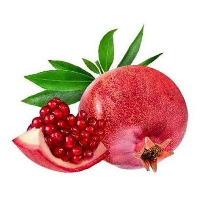140Pcs Novice Friendly Pomegranate Seeds for planting along garden margins, yard corners and quiet leisure landscape spots