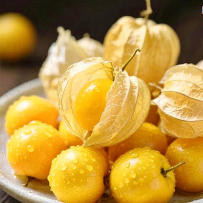450Pcs Groundcherry Seeds Fit for home planting hold stable seasonal growth cycles for lasting garden layout and ornamental value