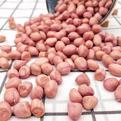 20Pcs Ideal For Landscaping Along Garden Edges Or Beds Peanut Seeds