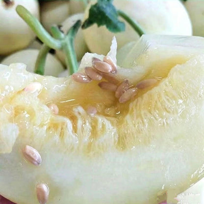 47Pcs Honeydew Melon Seeds match naturally with casual garden design and trellis landscape layout styles