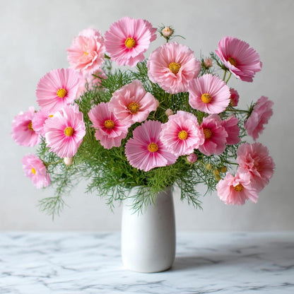 100Pcs Cosmos Seeds Easy To Grow Suitable For Creating Full Vibrant Garden Beds