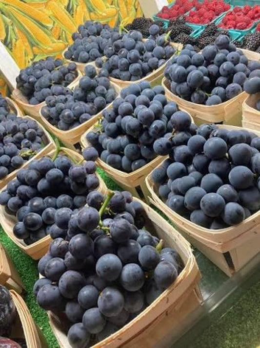 50Pcs Grown Grape Vine Seeds Heirloom Vineyard Seeds