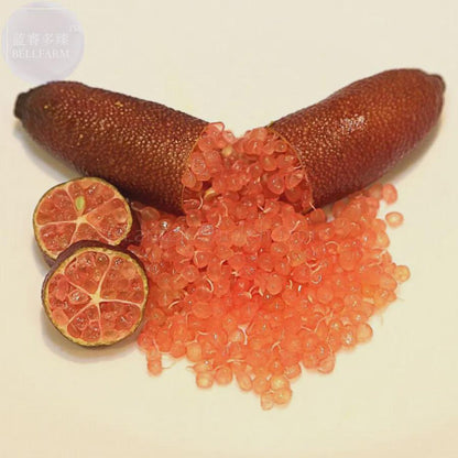 Orange Finger Lime Pomegrante Plant Seeds 30Pcs