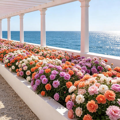 1000pcs Mixed Moss Rose Seeds Resilient Succulent Groundcover Annuals For Sunny Breathable Romantic Retaining Walls