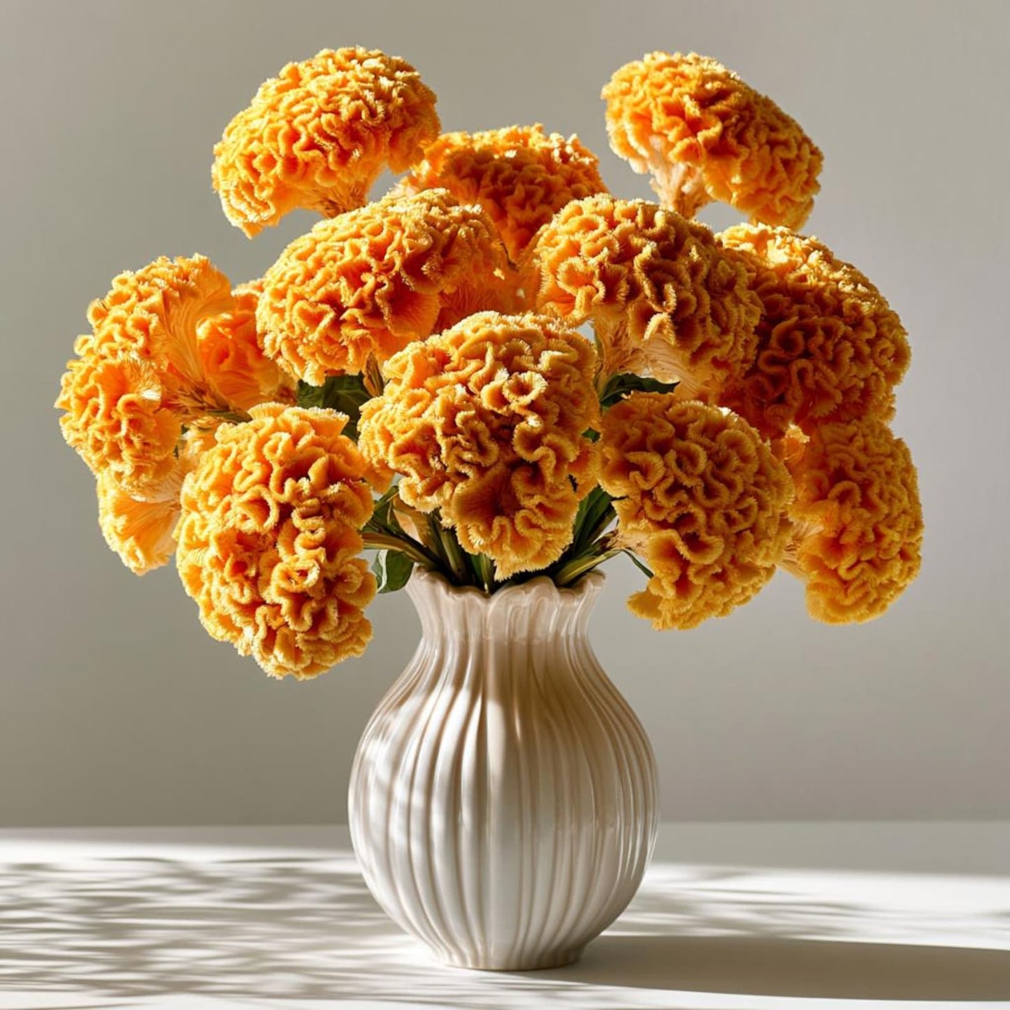 200pcs Straightforward Growing Celosia Seeds ideal for lining garden paths, walkways and quiet patio borders